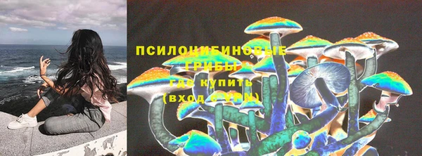стафф Балахна