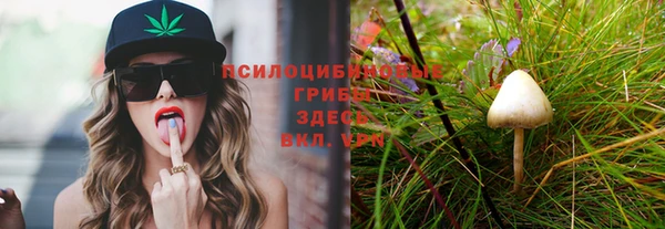 круглые Аркадак