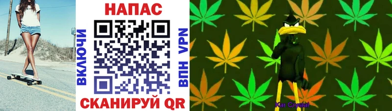 Бошки Шишки OG Kush blacksprut сайт Нея сколько стоит